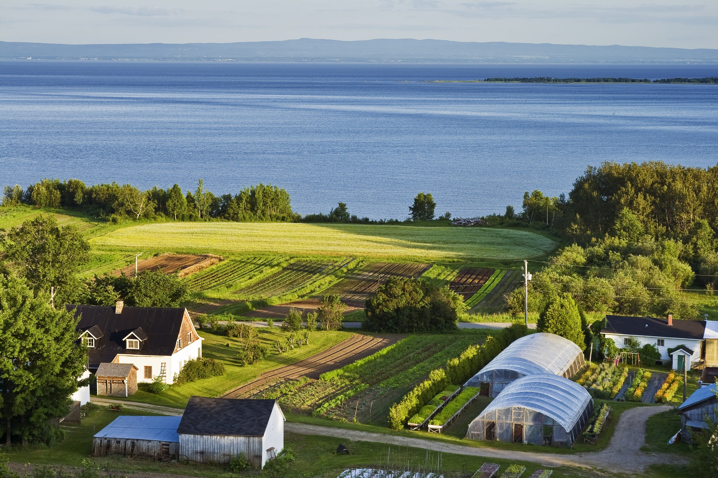 Vue de la ferme du Jardin des chefs et du fleuve Saint-Laurent derrière; prise de la petite colline derrière.
