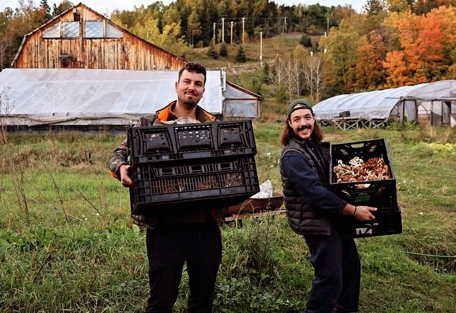Eli et un collègue portant des boîtes de champignons.