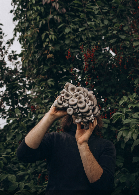 Elie avec des champignons